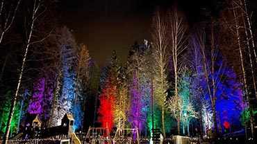 Kuvassa yöllinen kuva Puhoksen valot -tapahtumassa, jossa eri värisiä lamppuja on suunnattu metsään. Kuvassa näkyy puun oksia.